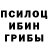 Галлюциногенные грибы Psilocybine cubensis Cheri Trulove
