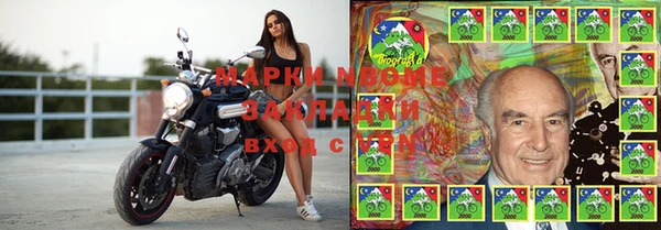 спиды Верея