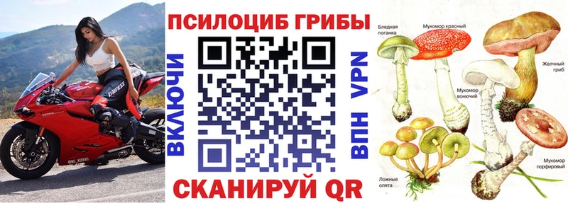 Псилоцибиновые грибы мицелий  Купить закладки  Вихоревка 